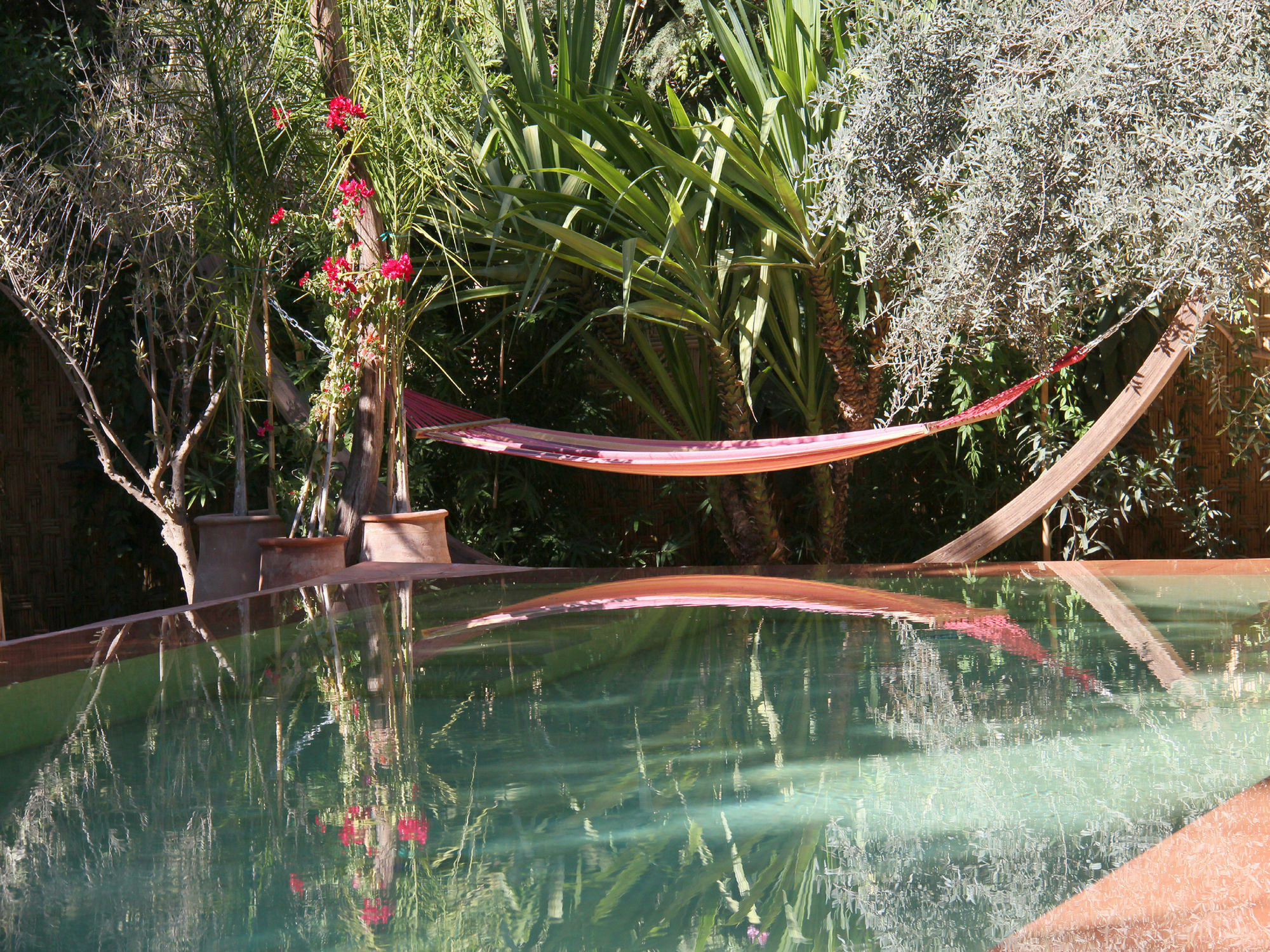 Le Jardin Touagana - Campement & Lodge Touggana Esterno foto