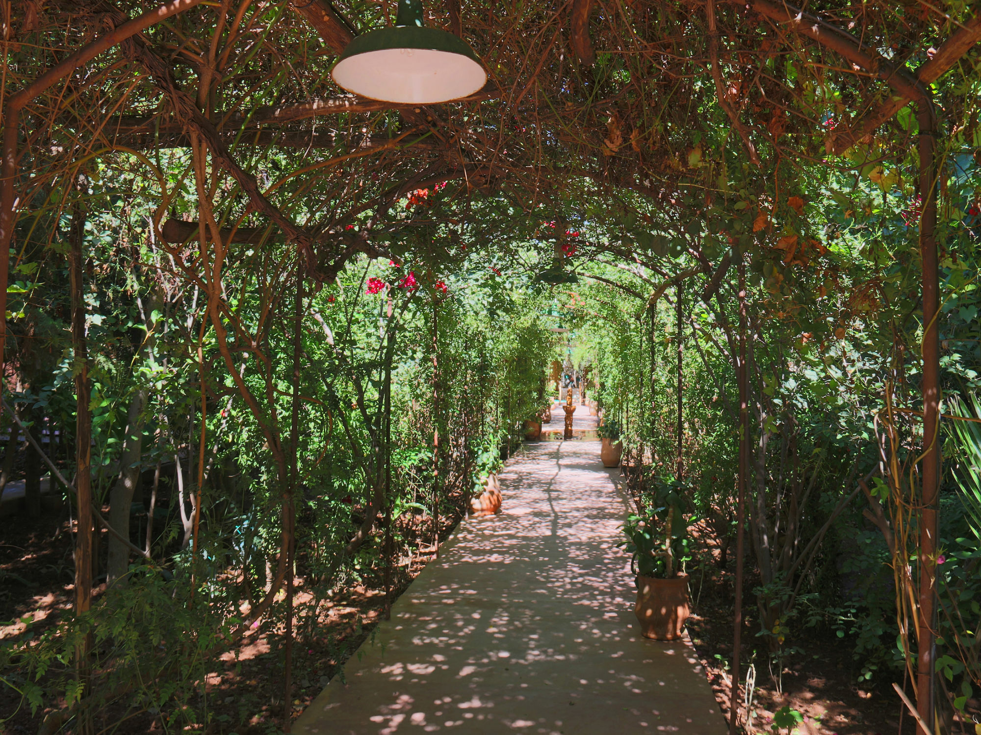 Le Jardin Touagana - Campement & Lodge Touggana Esterno foto