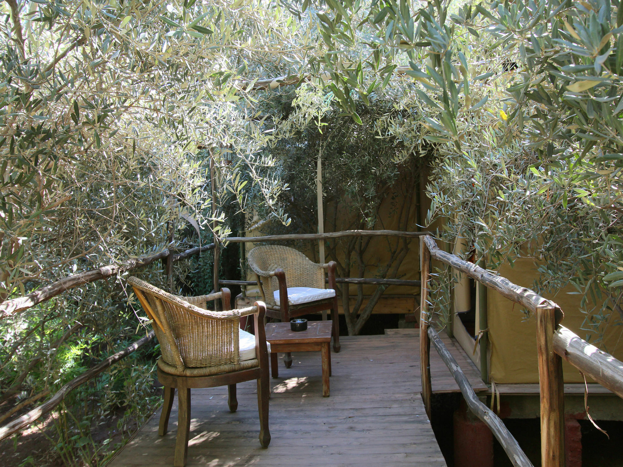 Le Jardin Touagana - Campement & Lodge Touggana Esterno foto